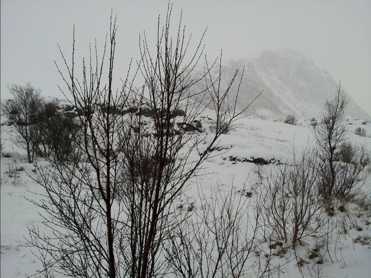 Hov - Northern Light Base Camp10